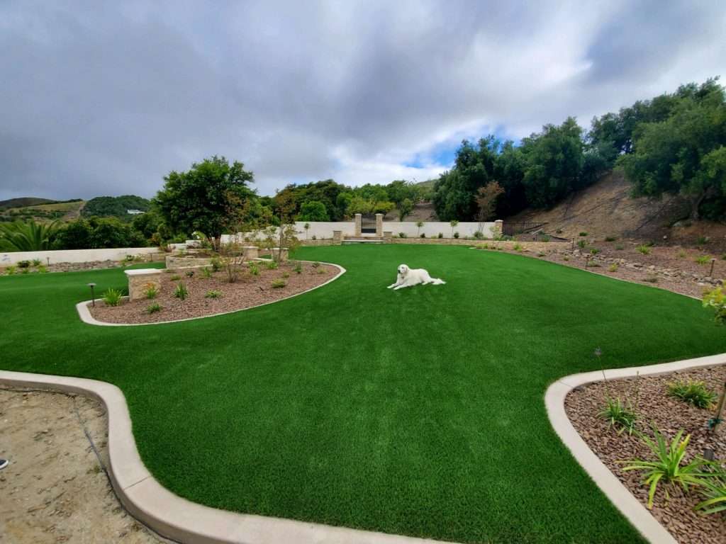Commercial Landscape